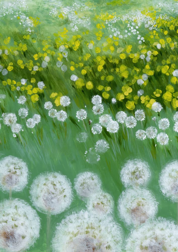 Dandelion Meadow Dreams by Rosana Laiz Blursbyai — canvas wall art