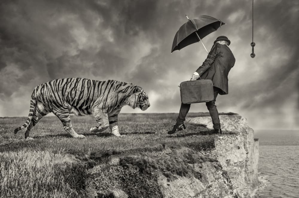 Man Tiger Cliff Edge by Marcel Egger — canvas wall art