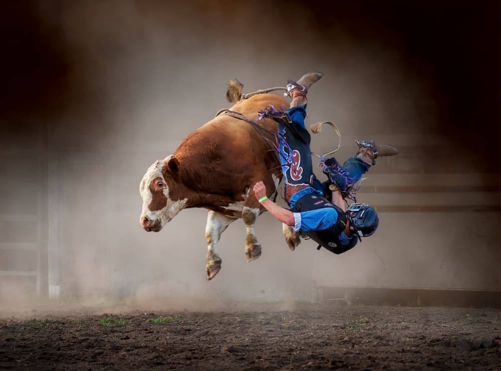 Bucking Bull Rider by Frank Ma — canvas wall art