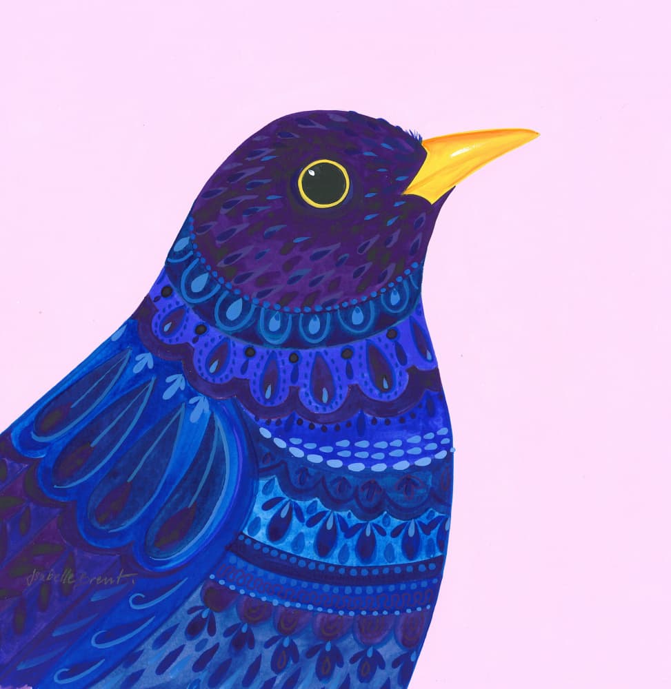 Vibrant Feathered Jewel by Isabelle Brent — canvas wall art