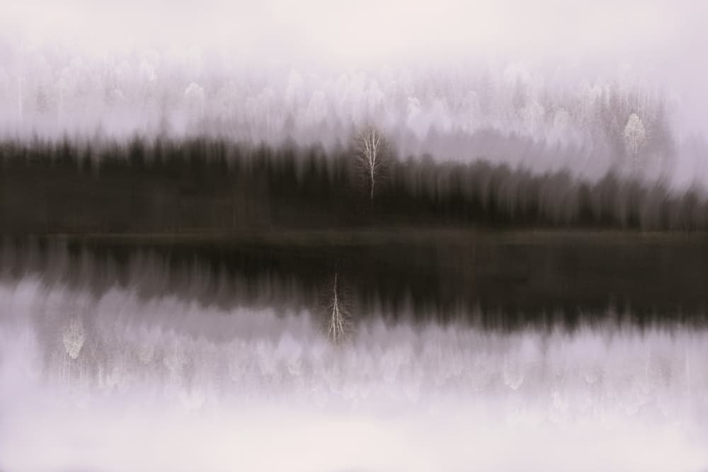 Misty Birch Reflection by Christina Sillen — canvas wall art
