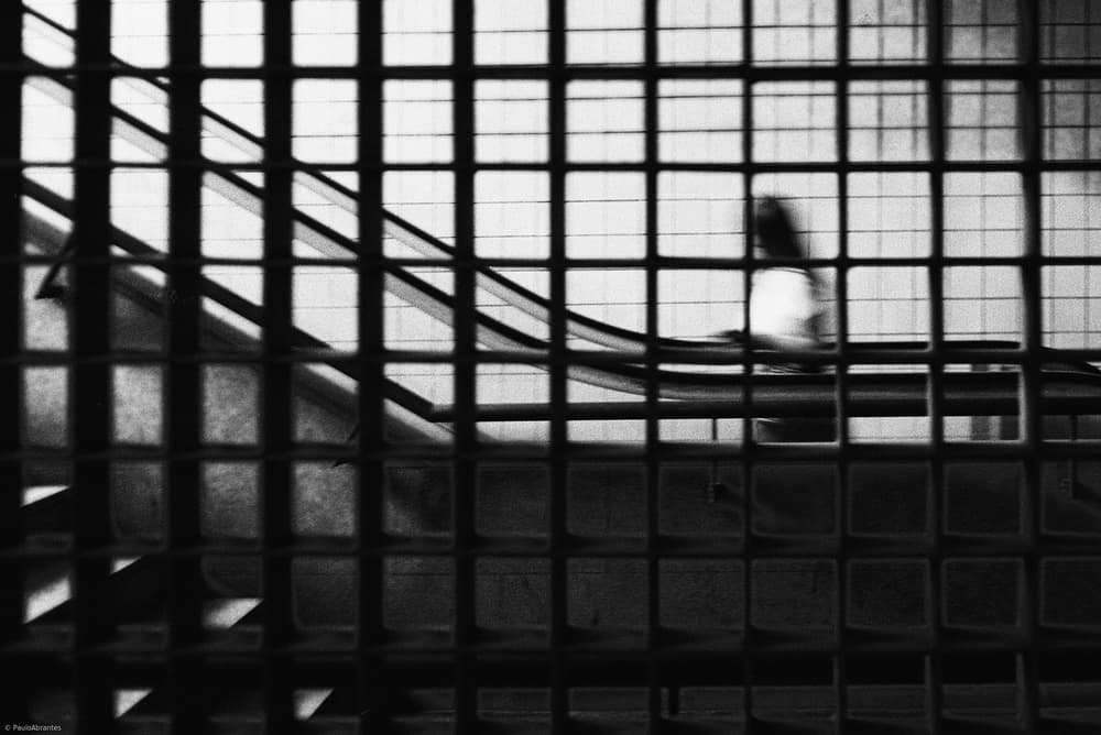 Dynamic Grid Staircase by Paulo Abrantes — canvas wall art