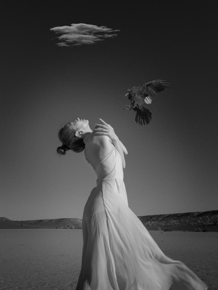 Graceful Desert Encounter by Bingo Z — canvas wall art
