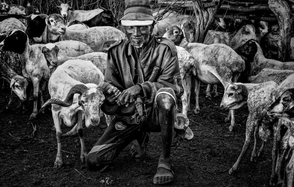 Shepherd and His Flock by Joxe Inazio Kuesta Garmendia — canvas wall art