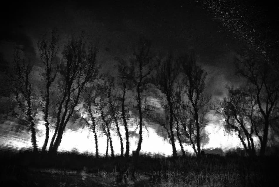 Dramatic Tree Reflection by Codrin Lupei — canvas wall art