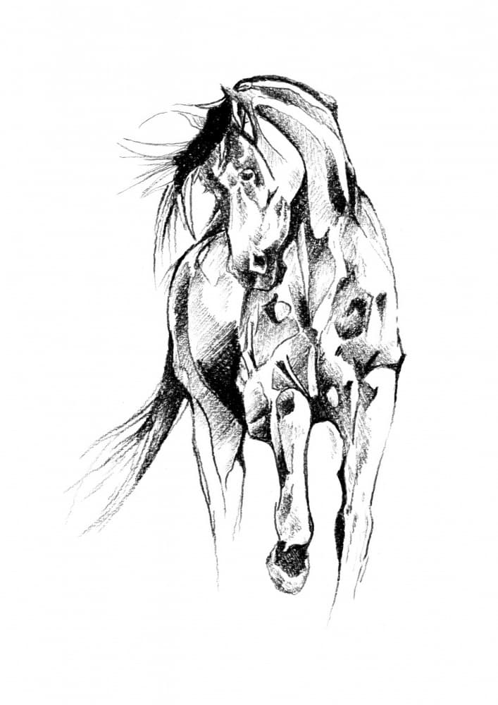 Dynamic Horse Sketch by Kulik — canvas wall art