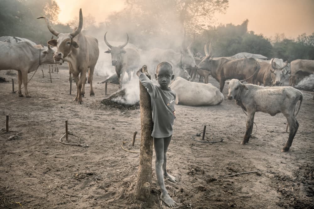 Young Boy Cattle Camp by Trevor Cole — canvas wall art