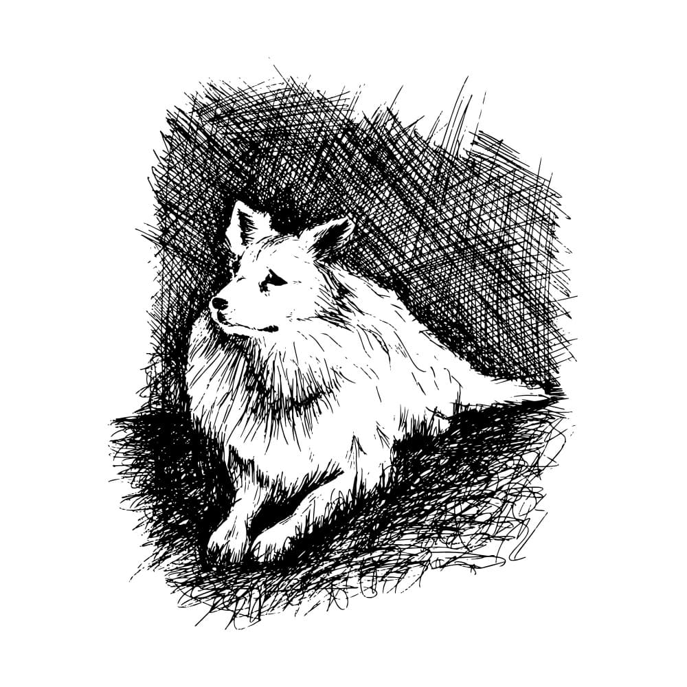 Relaxing Canine Sketch by Marika Barsrsind β canvas wall art