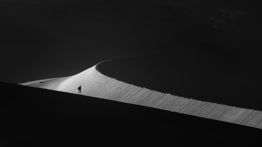 Solitary Dune Path by Joan Zhang — canvas wall art