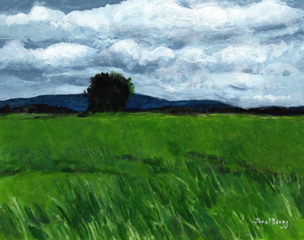 Field Under Cloudy Sky by Janel Bragg — canvas wall art