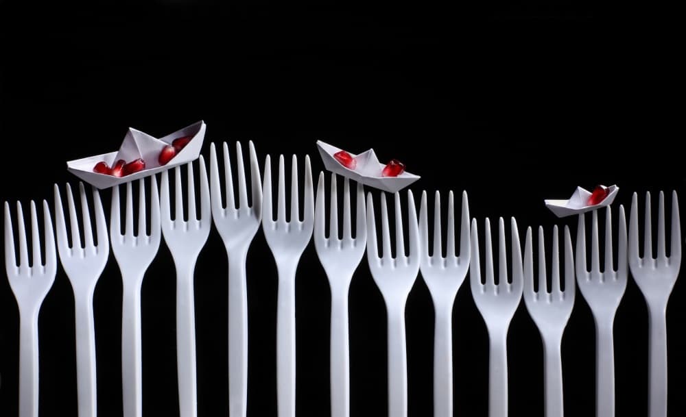 Paper Boats on Forks by Victoria Glinka — canvas wall art