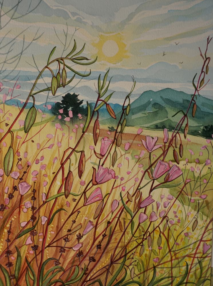 Pink Field Sunrise by Luisa Millicent — canvas wall art