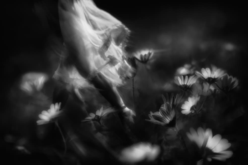 Ethereal Floral Dream by Charlaine Gerber — canvas wall art