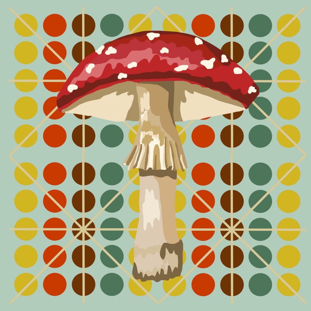 Groovy Red Mushroom by Lynnda Rakos — canvas wall art