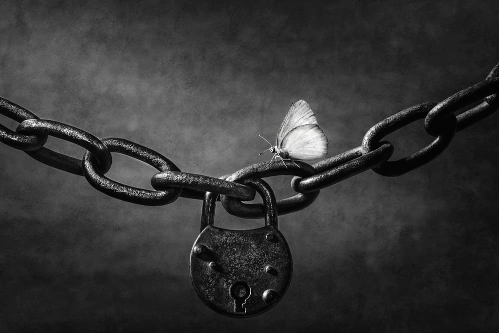 Rustic Chain Butterfly by Stephen Clough — canvas wall art