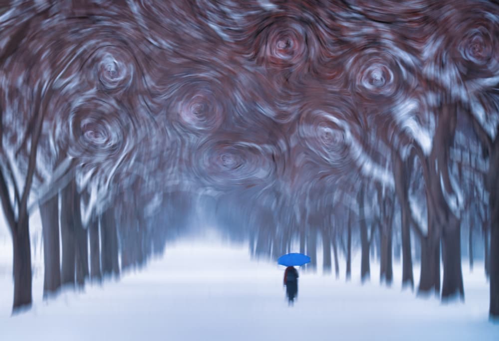 Blue Umbrella Winter Path by Catherine Wang — canvas wall art