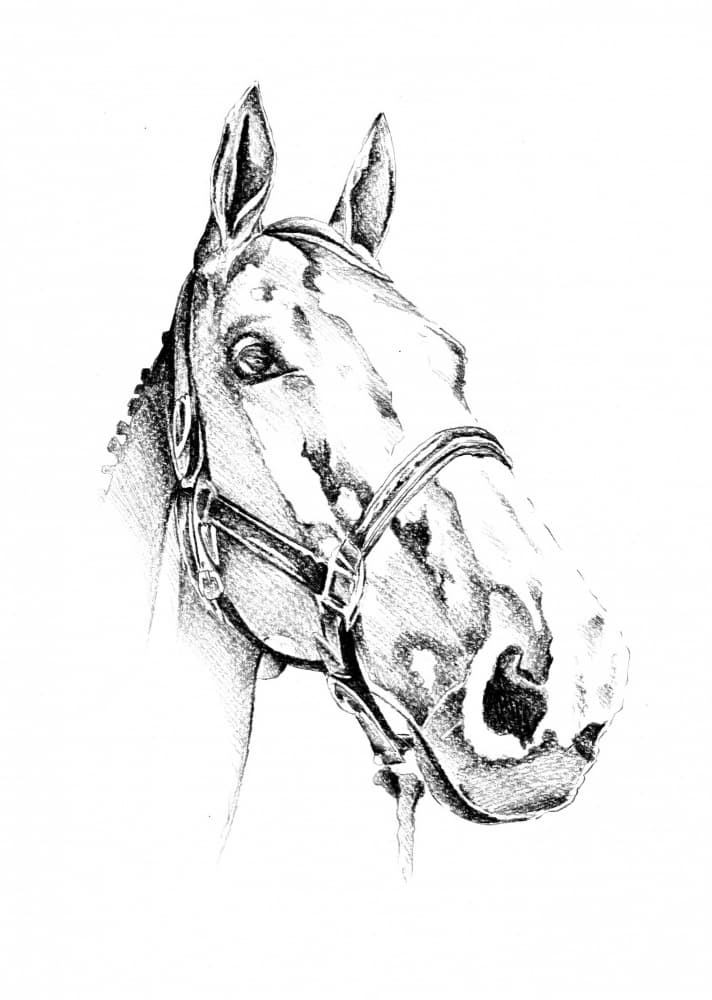 Elegant Horse Portrait by Kulik — canvas wall art
