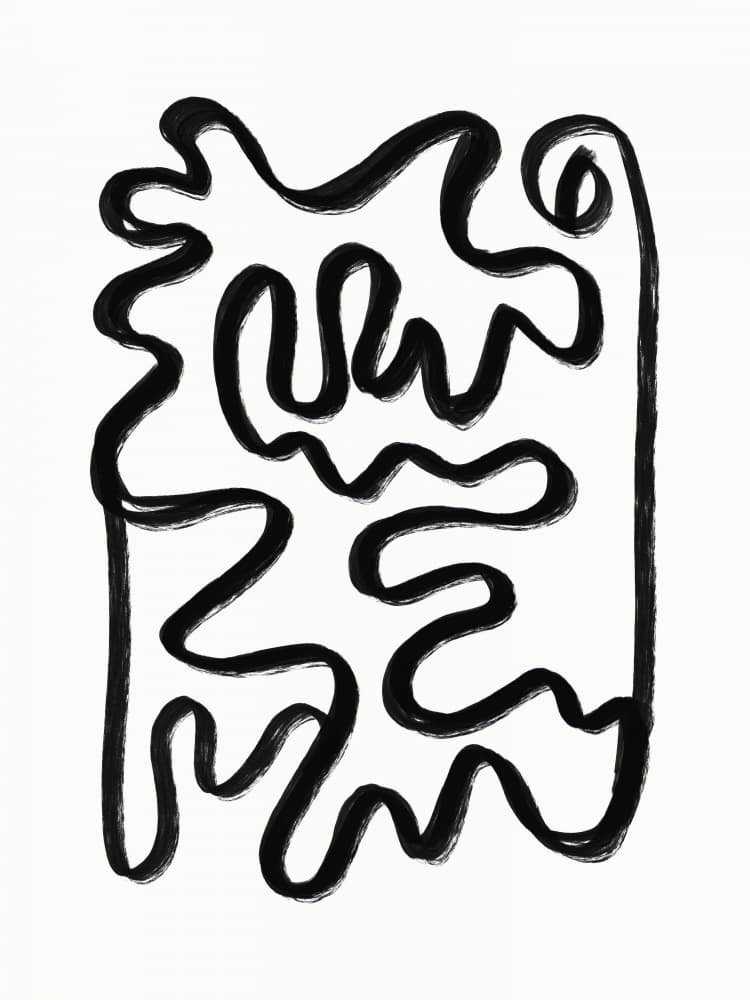 Dynamic Flowing Lines by Little Dean — canvas wall art