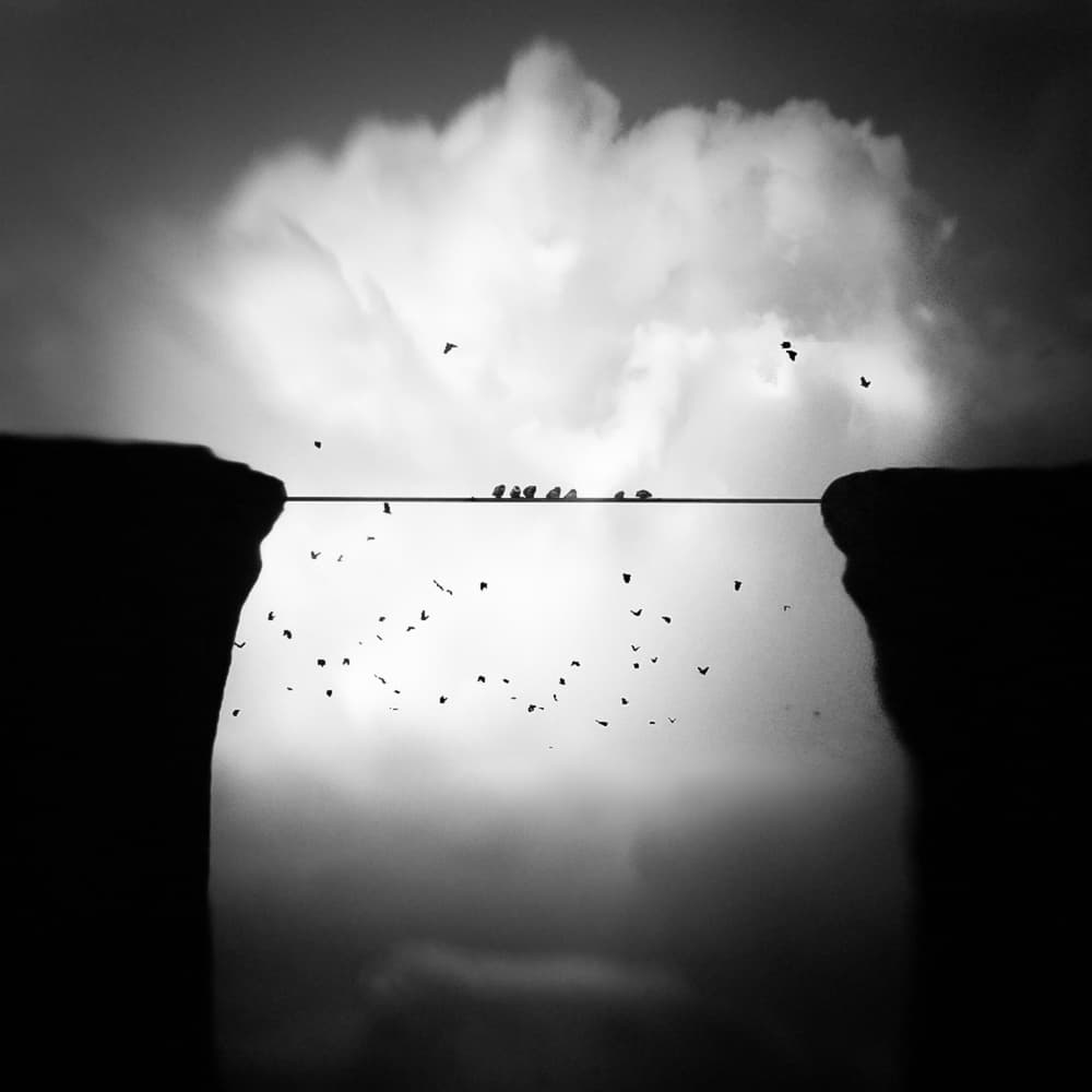 Birds Across The Gap by Nic Keller — canvas wall art