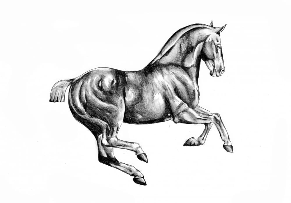 Majestic Horse Drawing by Kulik — canvas wall art