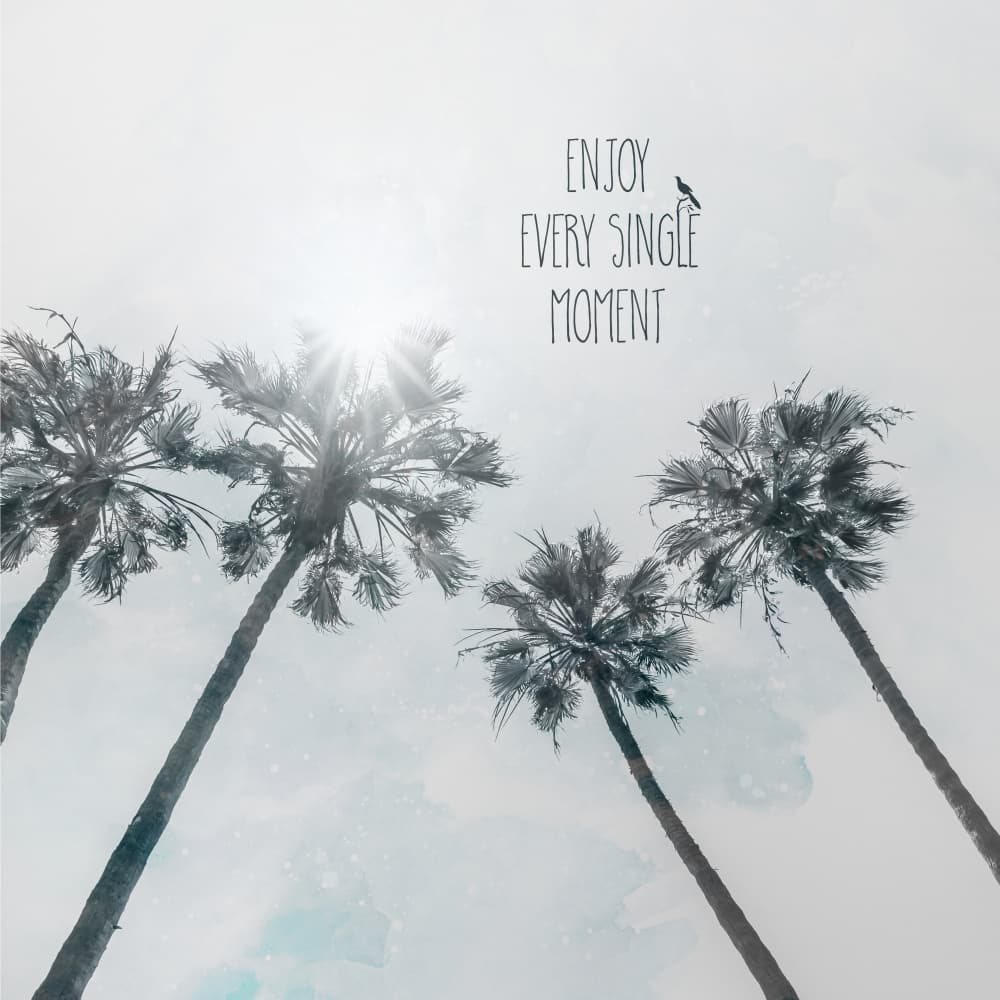 Sunny Palm Inspiration by Melanie Viola — canvas wall art