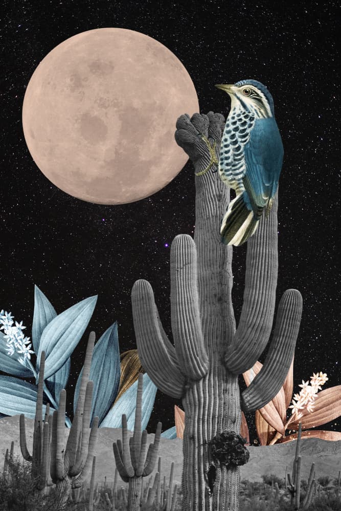 Blue Bird Desert Moon by Marja van den Hurk — canvas wall art