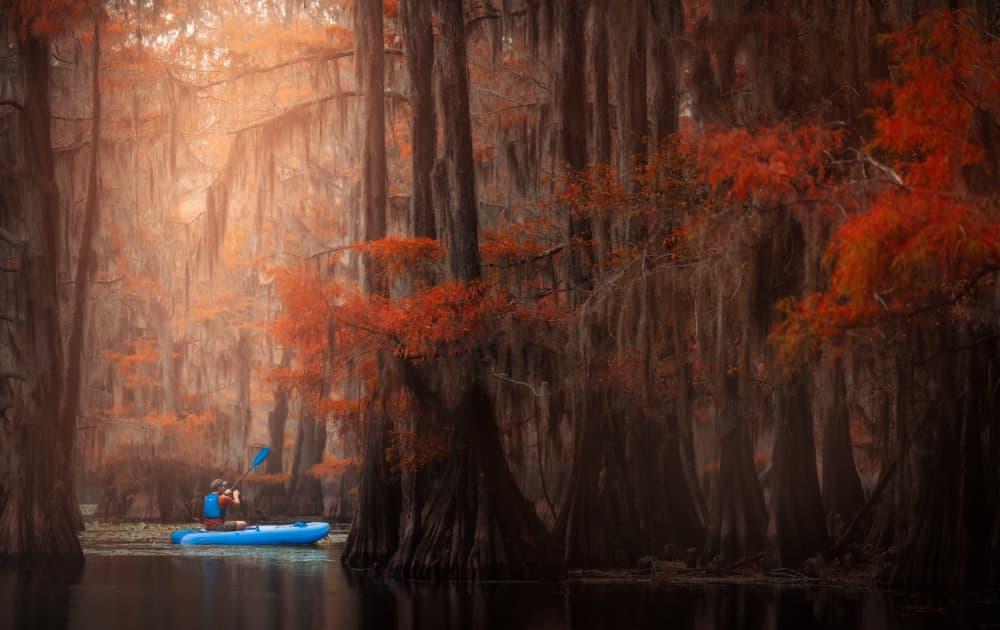 Autumn Kayak in Cypress Swamp by Catherine Wang — canvas wall art