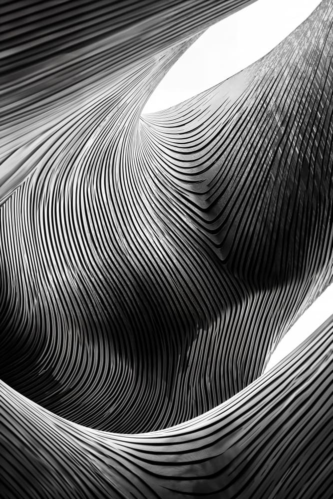 Monochrome Organic Flow by Minorstep — canvas wall art