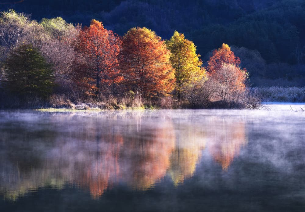 Vibrant Autumn Lake Morning by Tiger Seo — canvas wall art