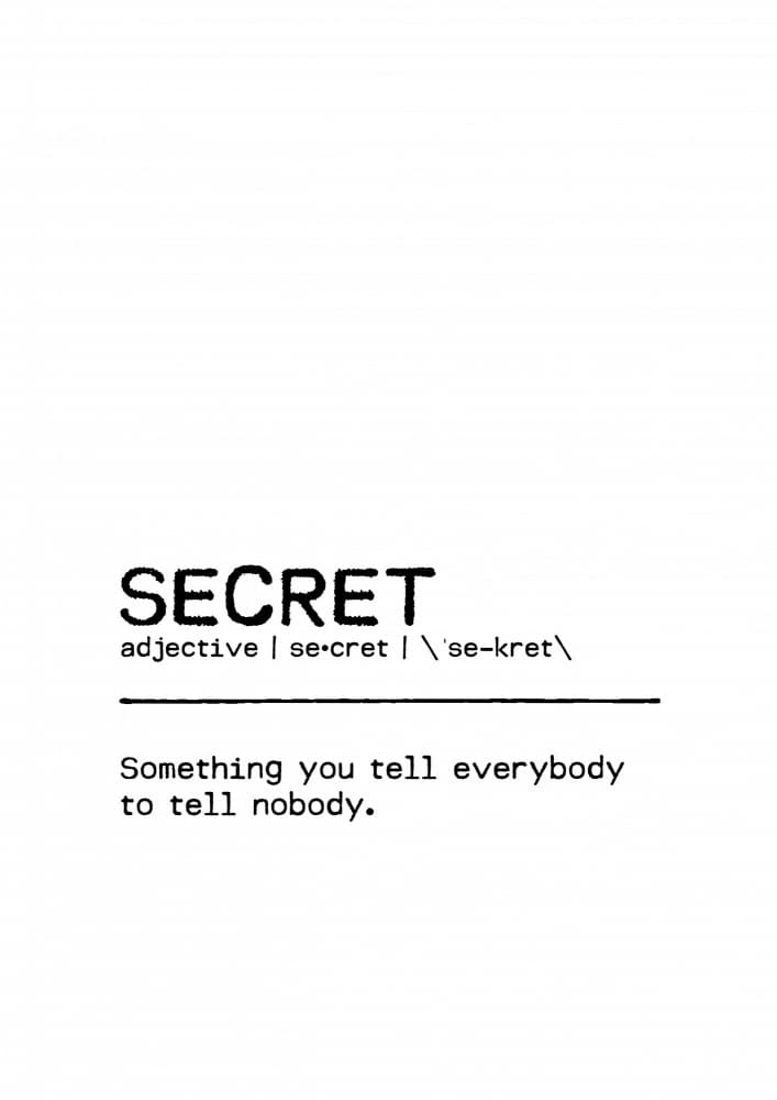 Humorous Secret Definition by Orara Studio — canvas wall art