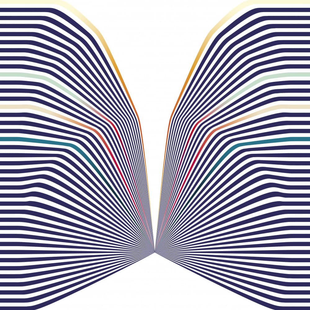 Dynamic Striped Illusion by Angelo Cerantola — canvas wall art