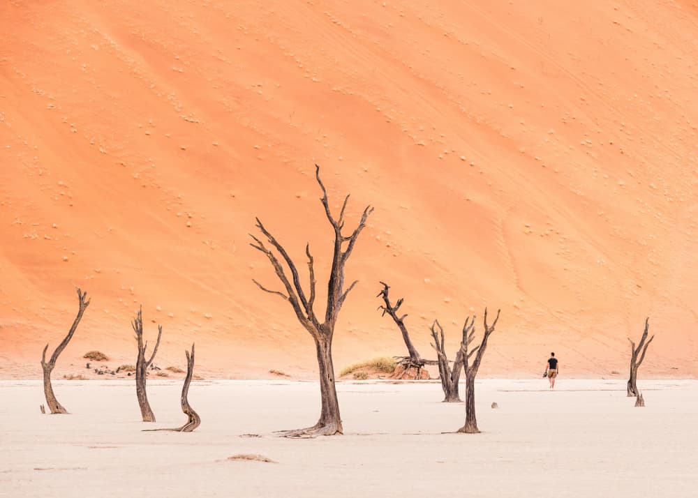 Orange Dunes Deadvlei by Marco Tagliarino — canvas wall art