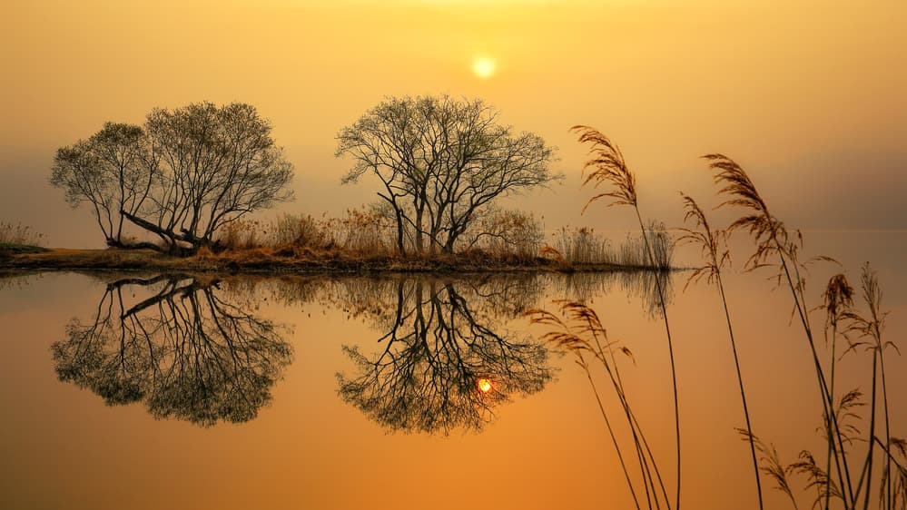 Garden of water by Tiger Seo — canvas wall art