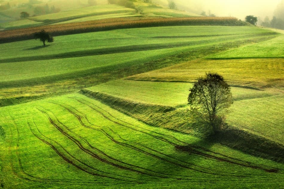Rolling Green Fields by Jure Kravanja — canvas wall art