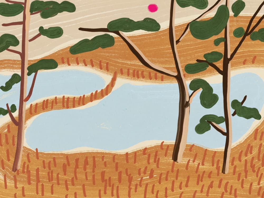 Serene Forest Lake by Little Dean — canvas wall art