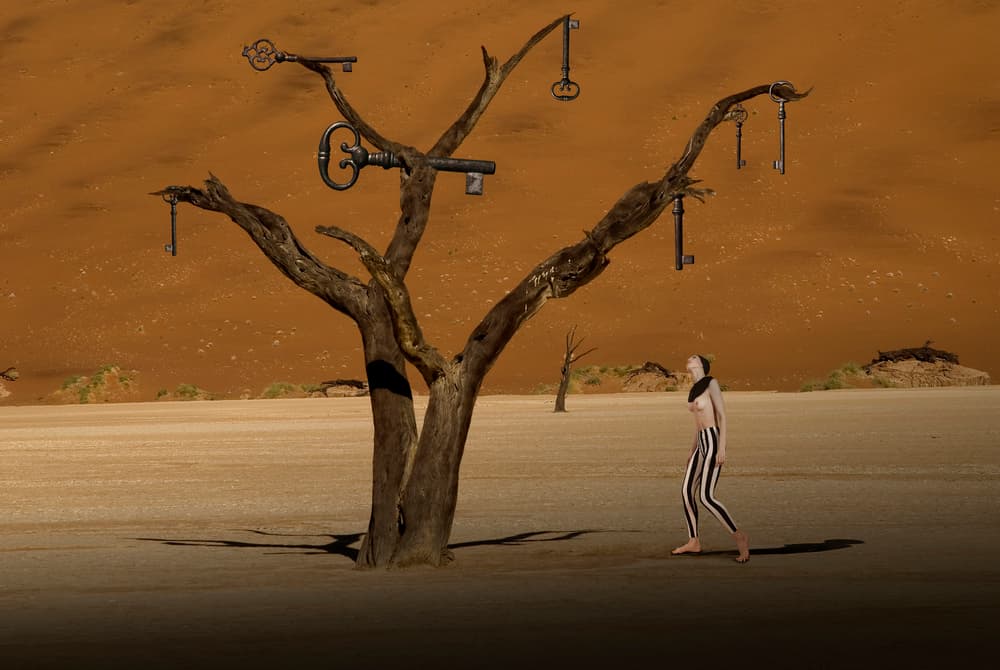 Surreal Desert Key Tree by Christine von Diepenbroek — canvas wall art