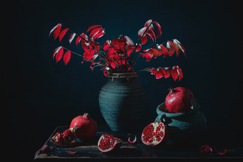 Moody Red Pomegranate Still Life by Lydia Jacobs — canvas wall art