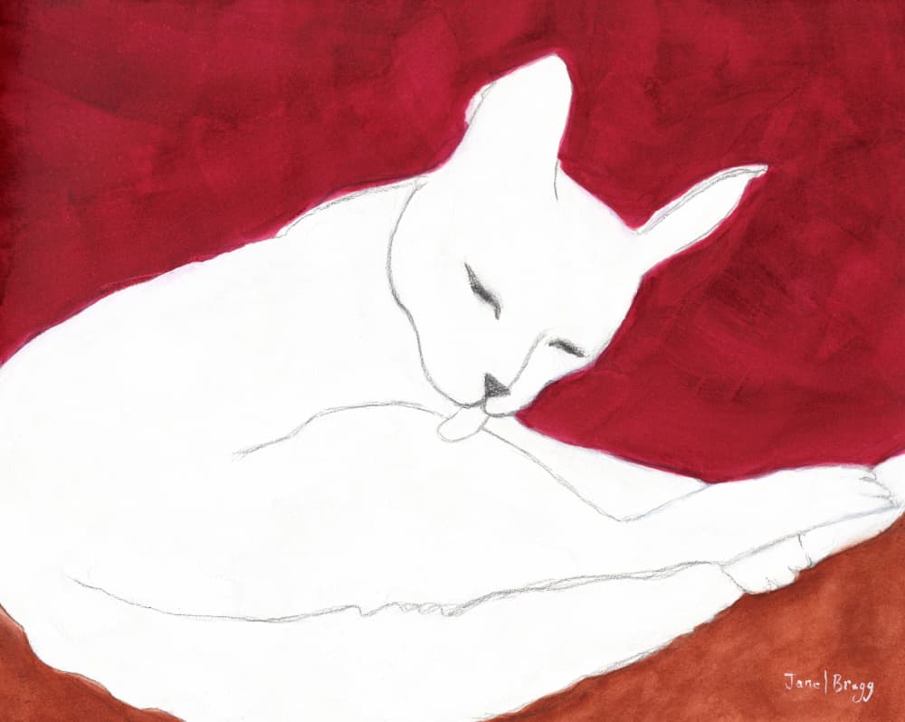 White Cat Grooming by Janel Bragg — canvas wall art