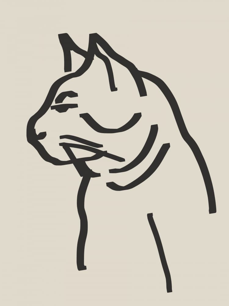 Sleek Cat Profile by Little Dean — canvas wall art