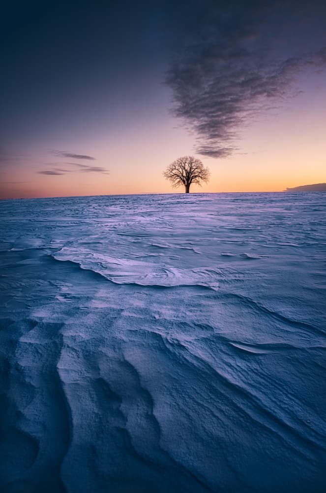 Sunset Winter Landscape by Ben.C.L — canvas wall art