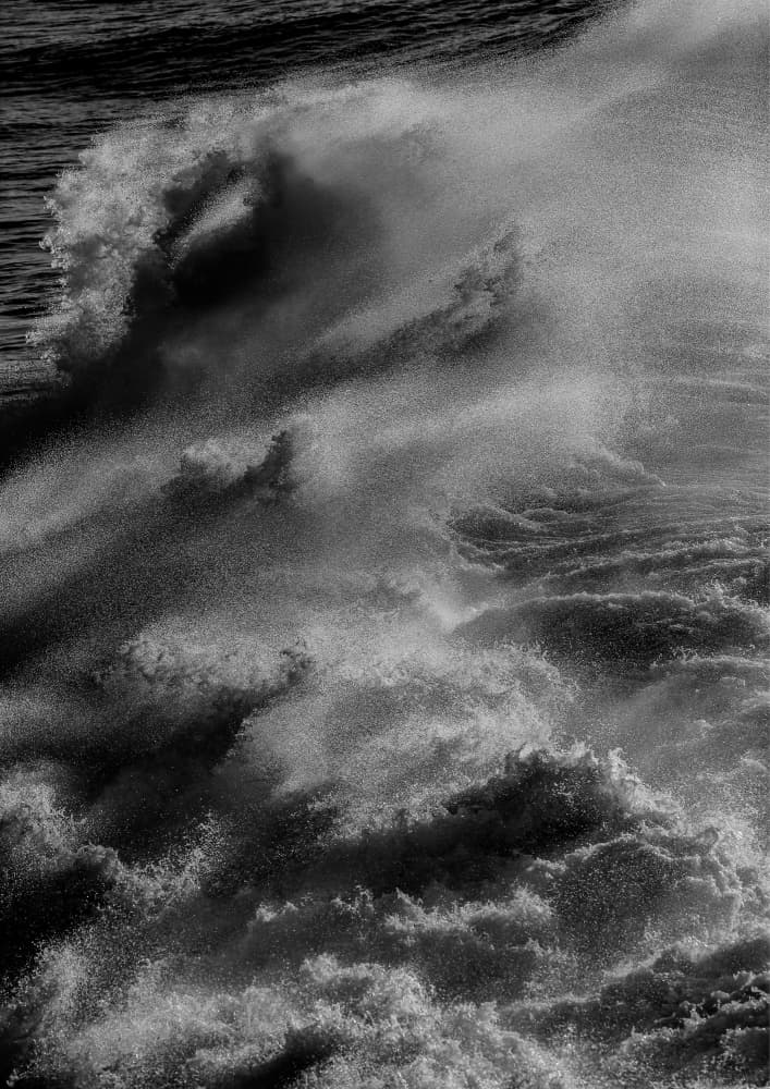Tempest's Grace by Shot by Clint — canvas wall art