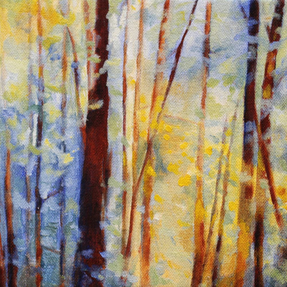 Dreamy Forest Light by Claire Whitehead — canvas wall art