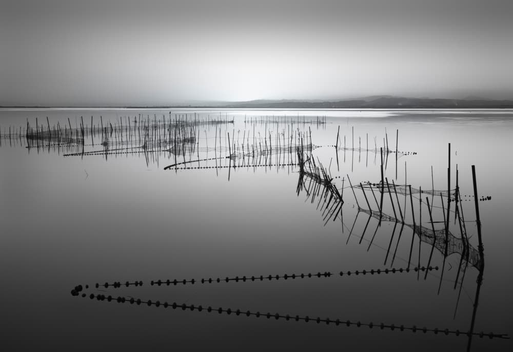 Fishing Nets on Calm Water by Joaquin Guerola — canvas wall art