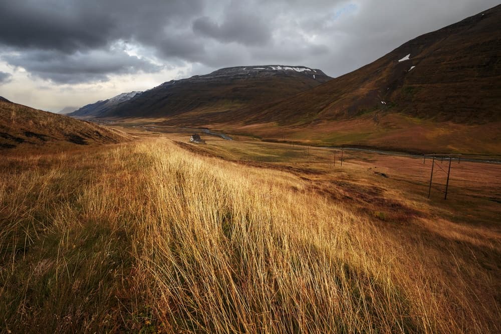 Golden Highland Valley by Bragi Ingibergsson - BRIN — canvas wall art