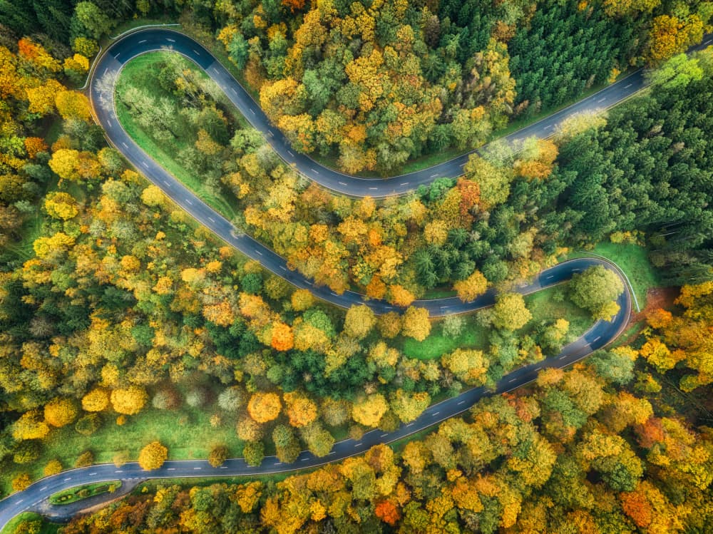 Winding Autumn Road by Guy Krier — canvas wall art