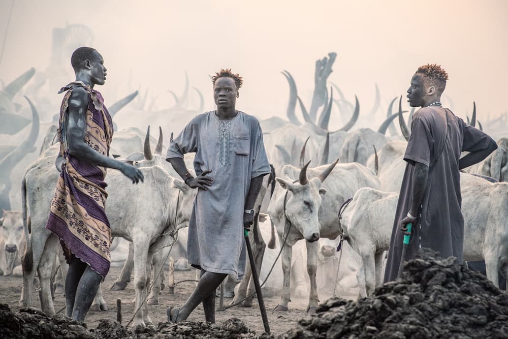 African Cattle Herders by Trevor Cole — canvas wall art