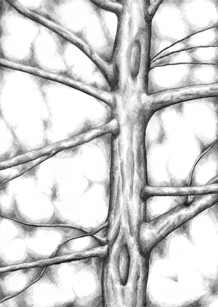 Textured Tree Trunk by Kulik — canvas wall art