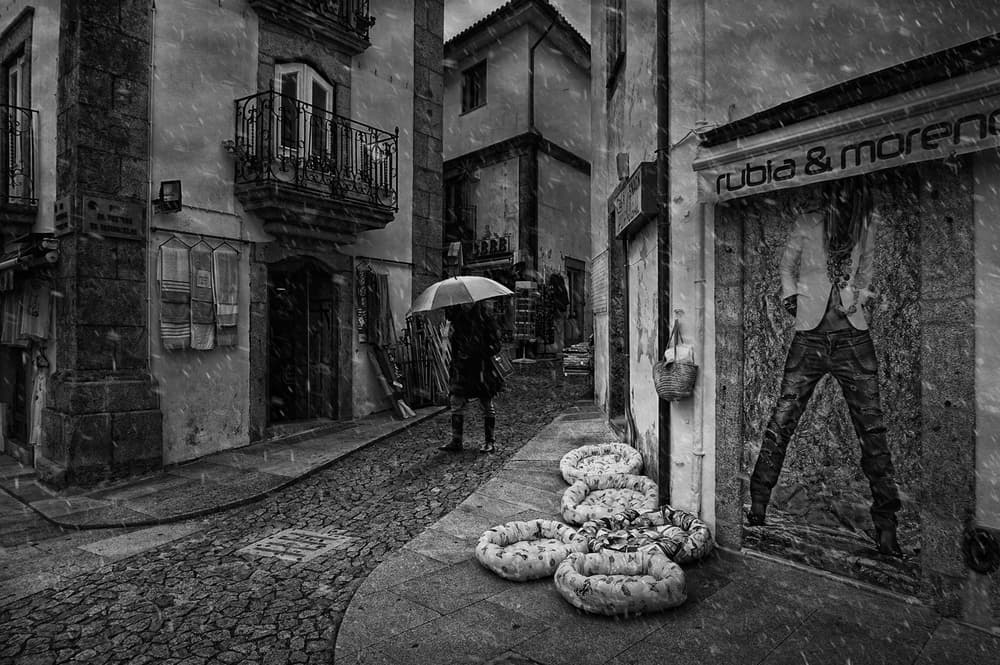 Rainy Cobblestone Street by Jose C. Lobato — canvas wall art
