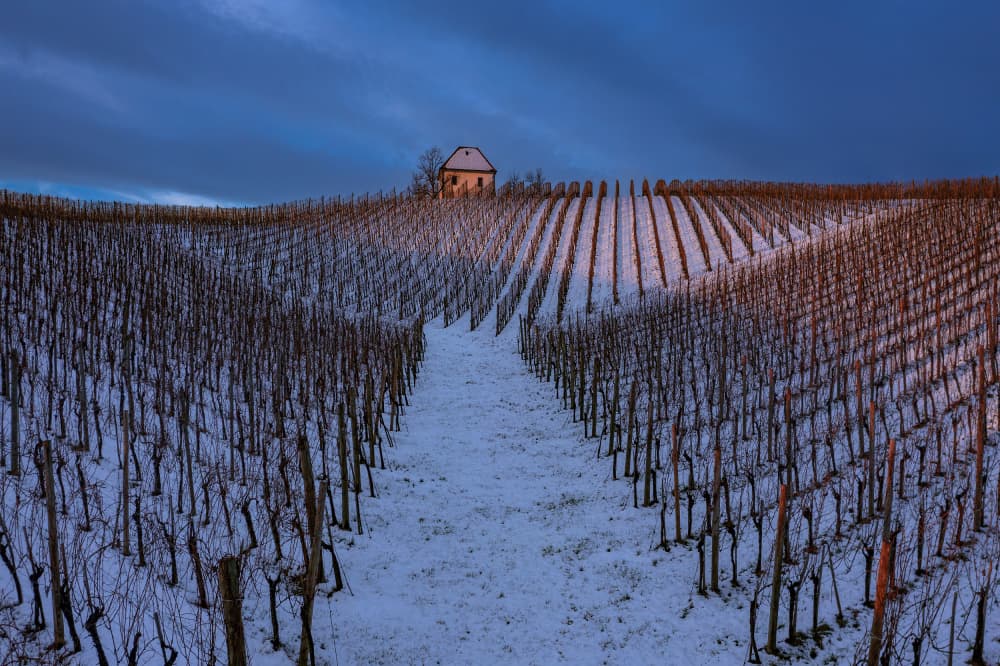 Winter Vineyard Chapel by Jure Kravanja — canvas wall art