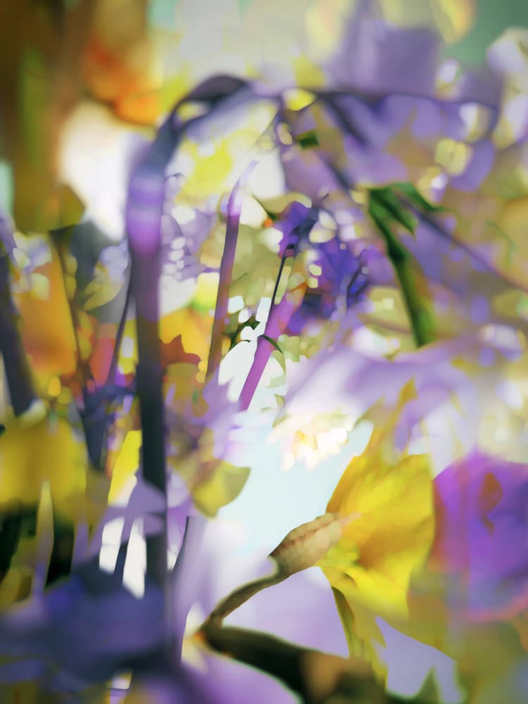 Dreamy Floral Abstract by Angelo Cerantola — canvas wall art